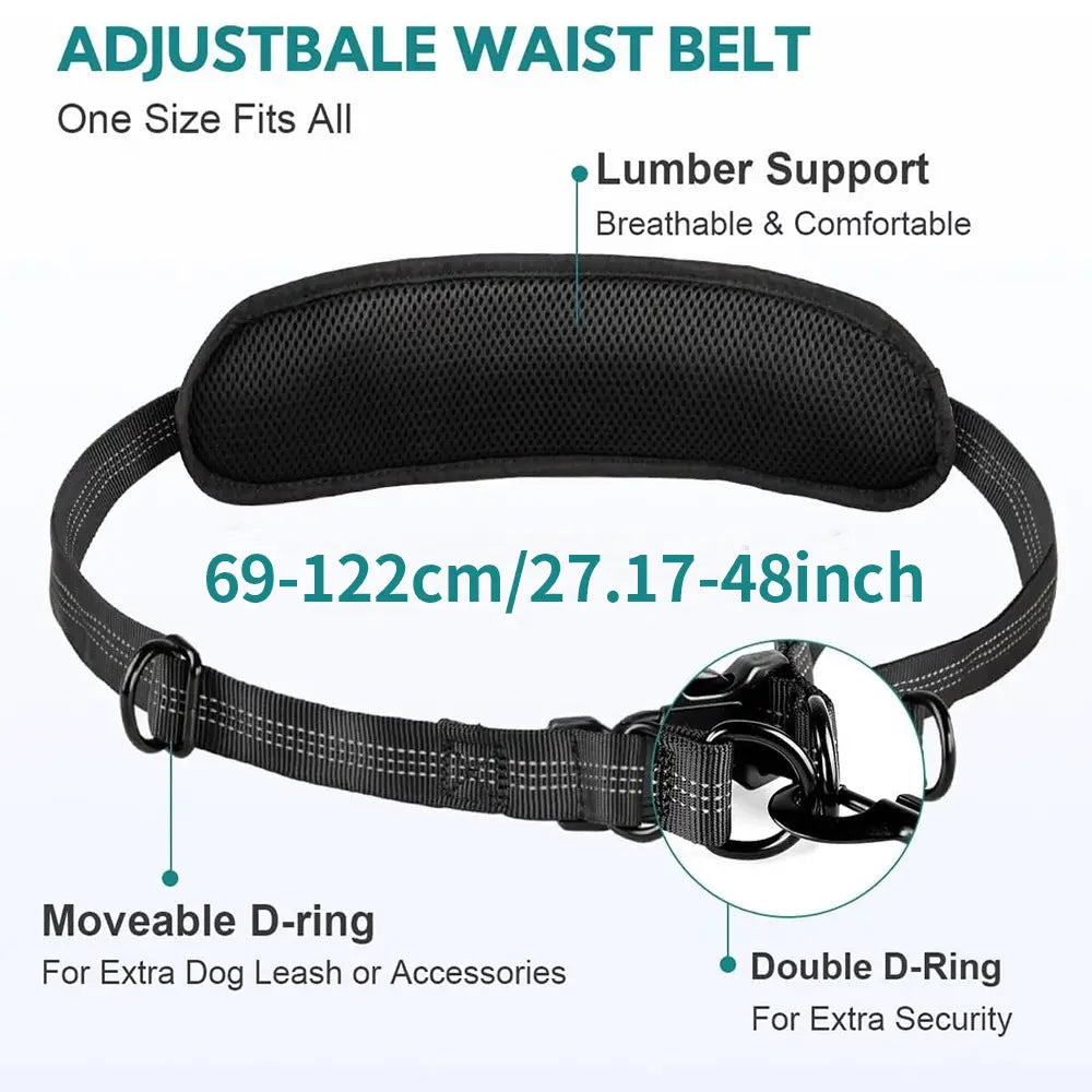 Pipidodo Hands-Free Dog Leash with Waist Bag and Cushioned Pad - Optimal for Running and Walking with One or Two Dogs, Shock-Absorbing Design for Maximum Comfort