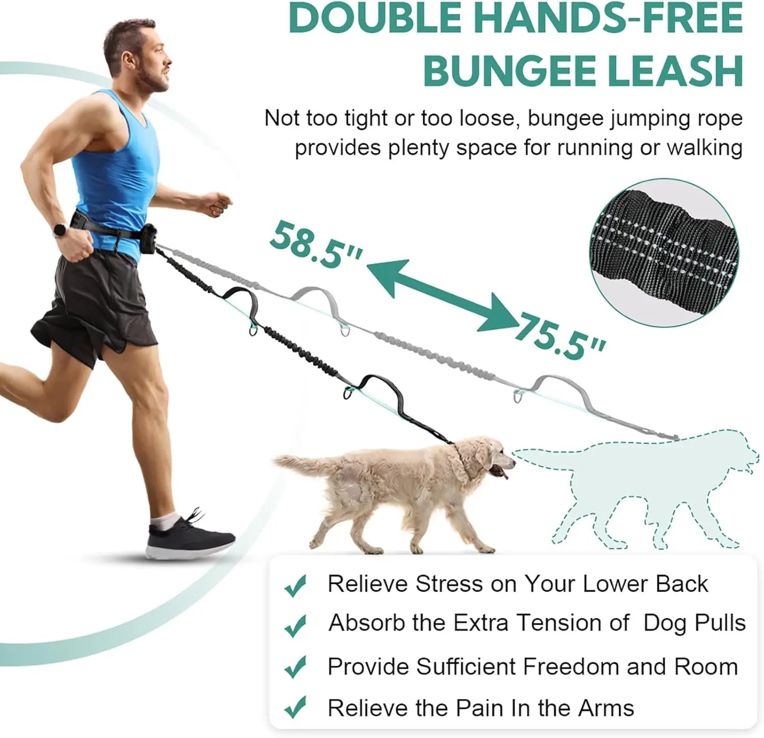Pipidodo Hands-Free Dog Leash with Waist Bag and Cushioned Pad - Optimal for Running and Walking with One or Two Dogs, Shock-Absorbing Design for Maximum Comfort